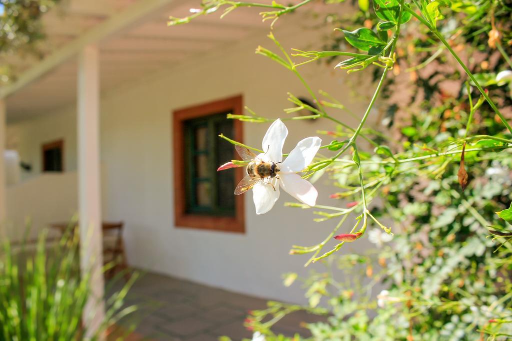 Fazendinha - Tavira - Spacious And Tranquil Hotel Exterior photo